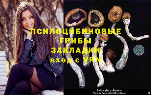 твердый Балахна