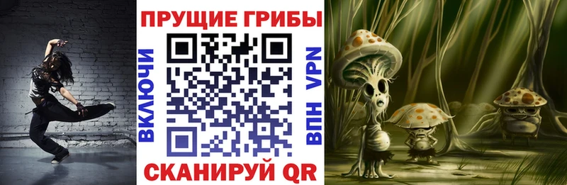 мориарти официальный сайт  что такое   Нягань  Псилоцибиновые грибы Psilocybine cubensis 